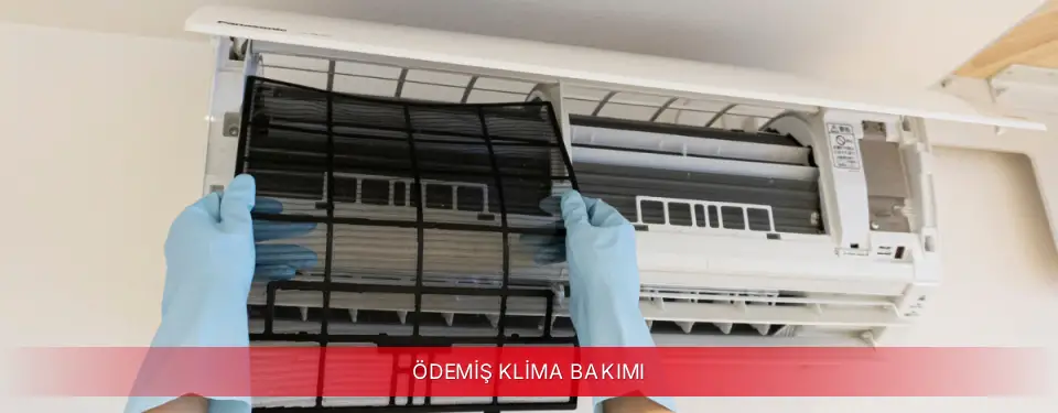 Ödemiş İlçemi Toshiba Klima Bakımı